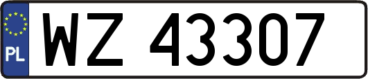 WZ43307
