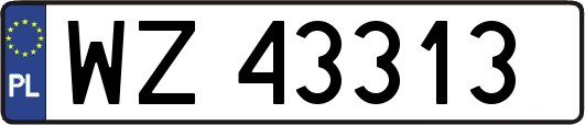 WZ43313