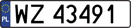 WZ43491