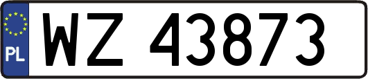 WZ43873