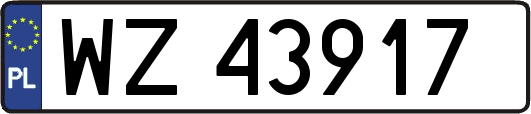 WZ43917