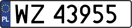 WZ43955