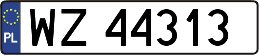WZ44313