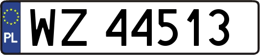 WZ44513