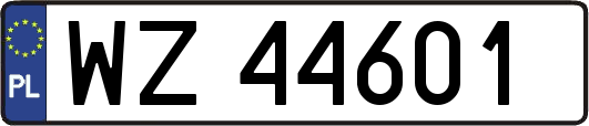WZ44601