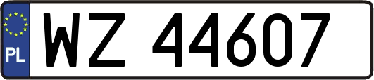 WZ44607