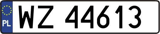 WZ44613