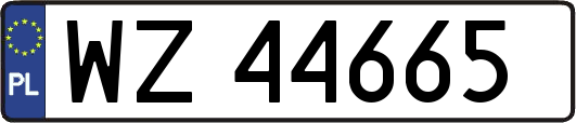 WZ44665