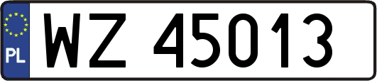 WZ45013