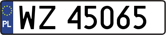 WZ45065