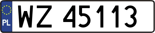 WZ45113