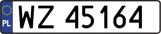 WZ45164