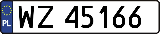WZ45166