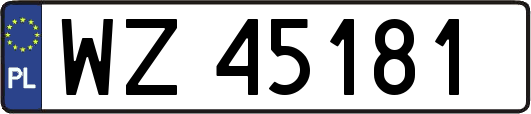 WZ45181