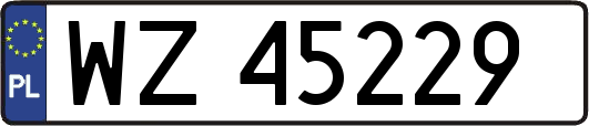 WZ45229