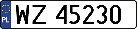 WZ45230