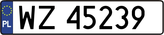 WZ45239