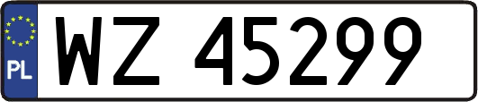 WZ45299