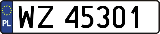 WZ45301