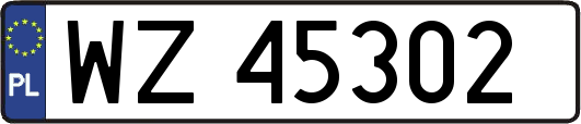 WZ45302