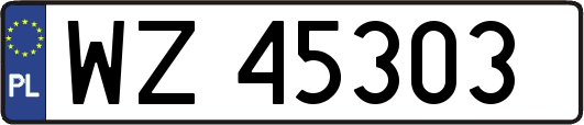 WZ45303