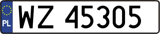WZ45305