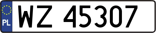 WZ45307