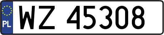 WZ45308