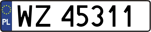 WZ45311