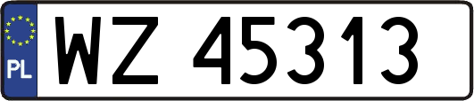 WZ45313