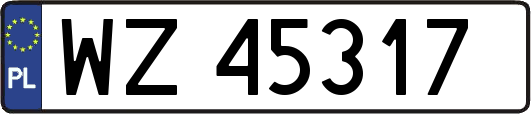 WZ45317
