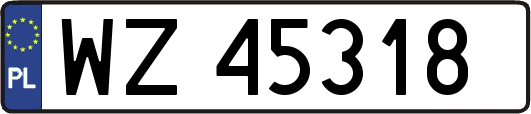 WZ45318