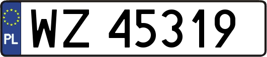 WZ45319