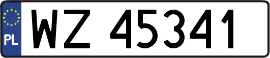 WZ45341