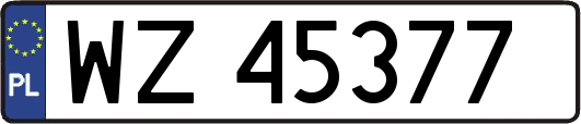 WZ45377