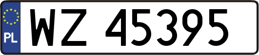 WZ45395