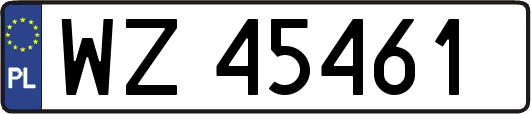 WZ45461