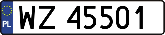 WZ45501