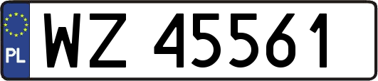 WZ45561