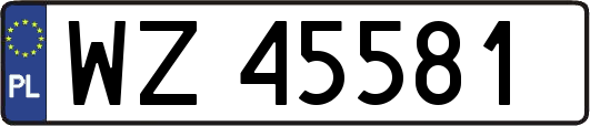 WZ45581