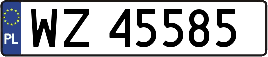 WZ45585