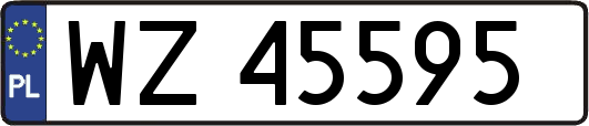 WZ45595