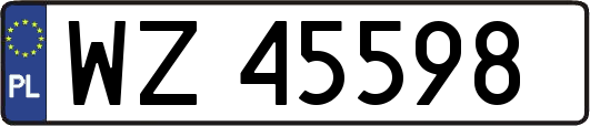 WZ45598