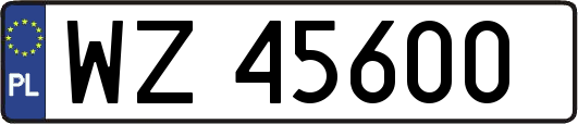 WZ45600