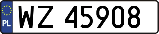 WZ45908