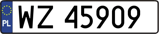 WZ45909