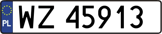 WZ45913