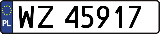 WZ45917