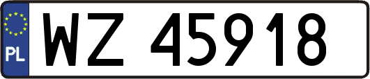 WZ45918