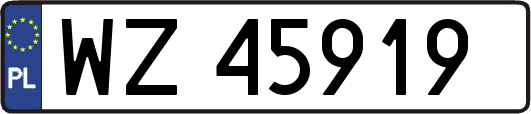 WZ45919